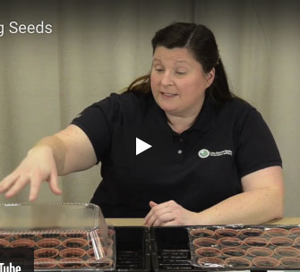Sprouting Seeds Learn From Home Program