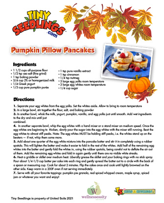 Pumpkin Pillow Pancakes