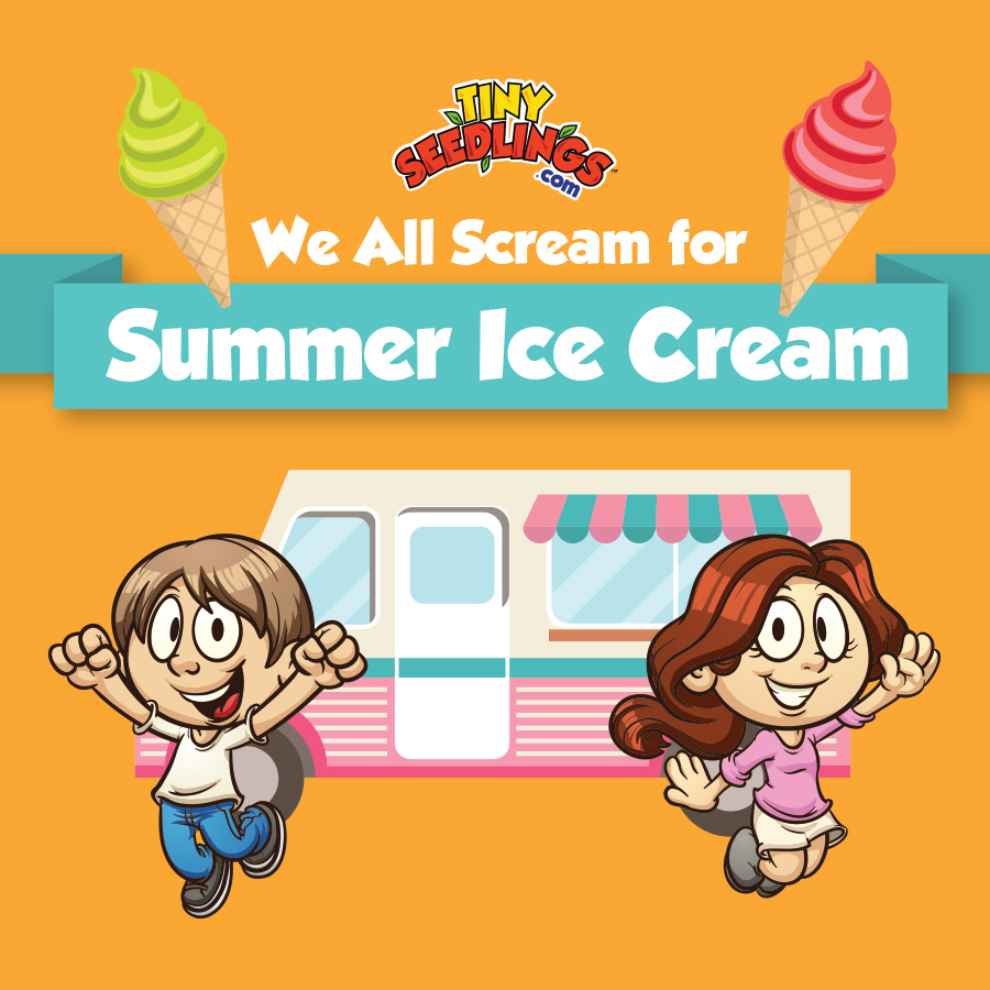 Summer Ice Cream Promo