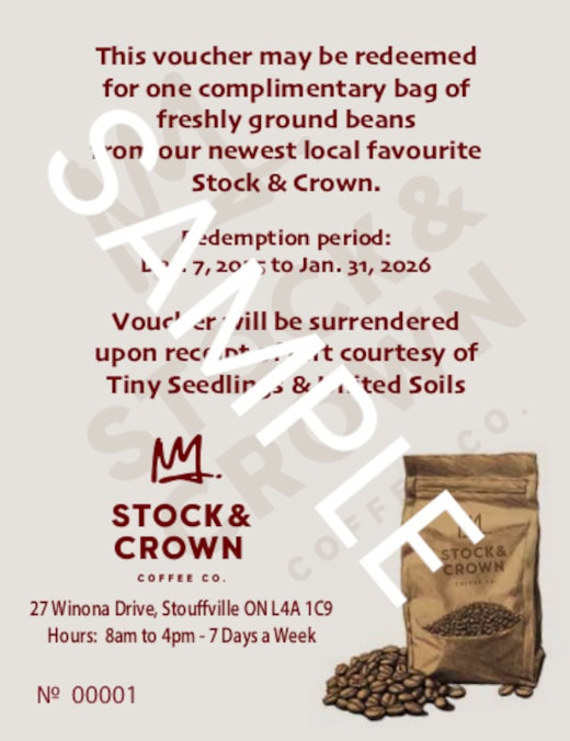 Tiny Seedlings Holiday Promo Voucher