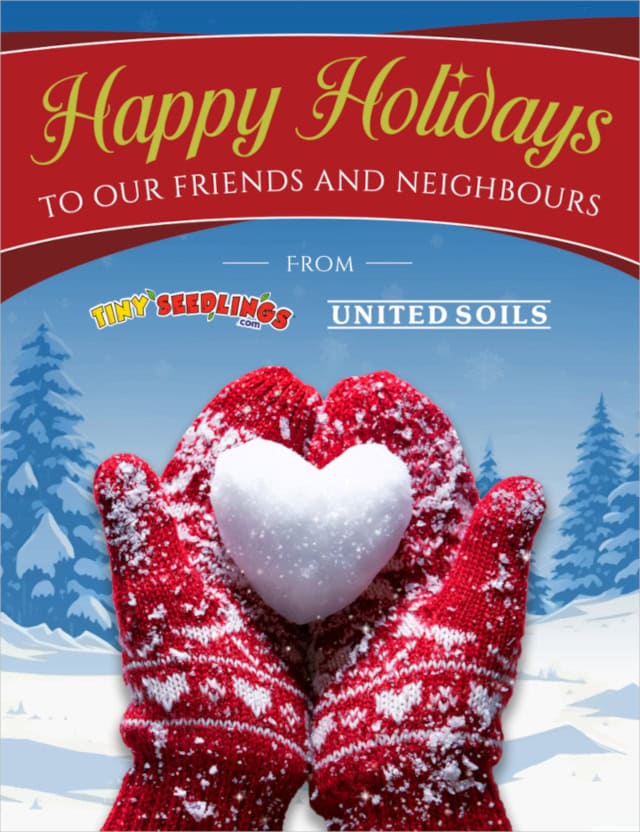 Tiny Seedlings Holidays 2025